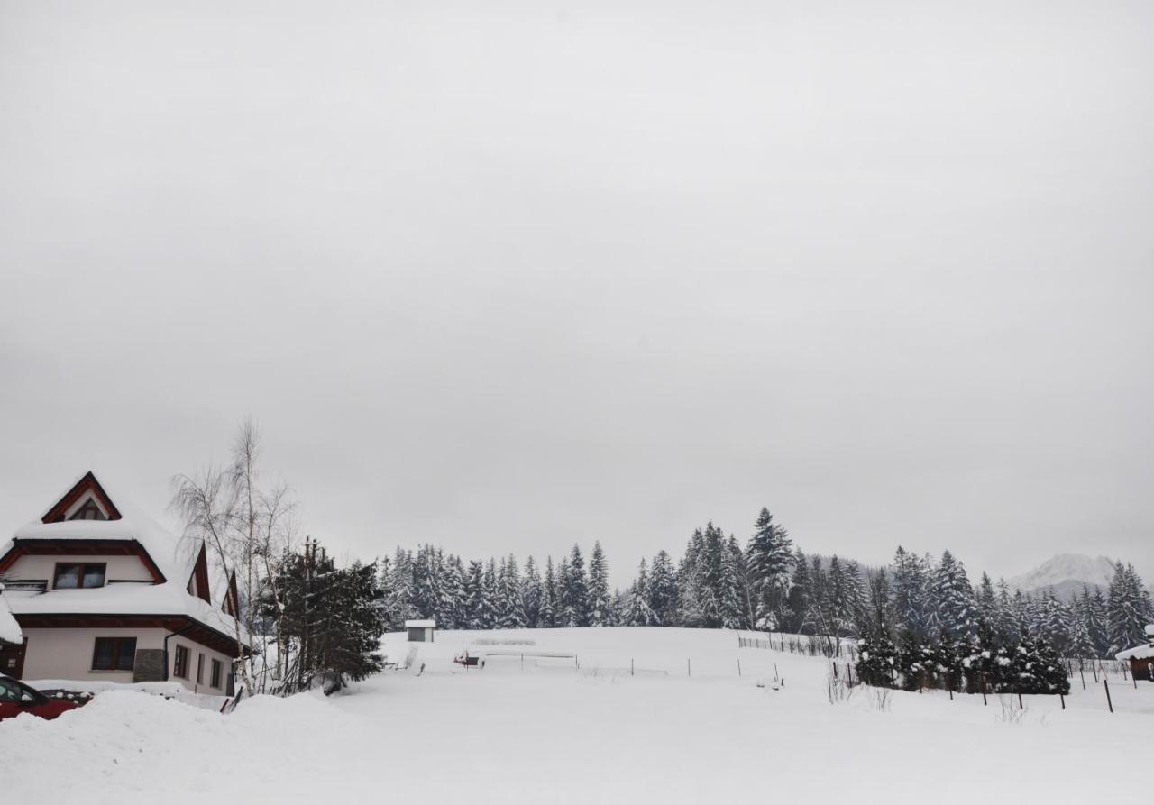 Apartamenty Jszi Zakopane Eksteriør billede